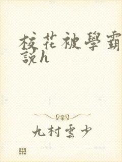 校花被学霸c小说h封面