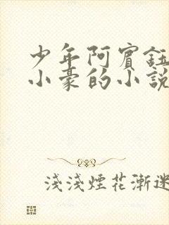 少年阿宾钰慧和小豪的小说