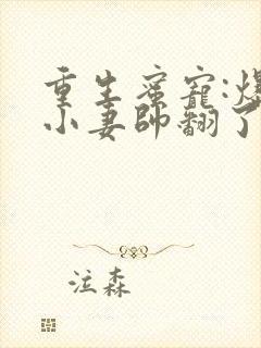 重生蜜宠:爆甜小妻帅翻了