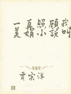一直照顾我的杨美娟小说叫什么名字