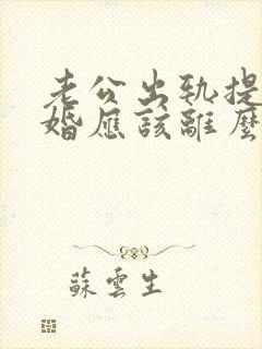 老公出轨提出离婚应该离么封面