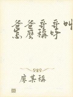 爸爸哥哥叫什么怎么称呼