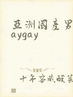 亚洲国产男同gaygay封面