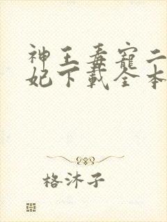 神王毒宠二嫁王妃下载全本txt