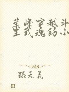 叶峰穿越斗罗三生武魂的小说