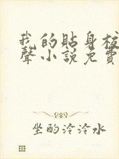 我的贴身校花有声小说免费听书封面