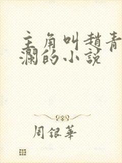 主角叫赵青林安澜的小说