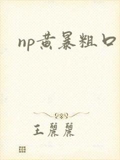np黄暴粗口