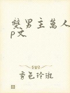 双男主万人迷np文