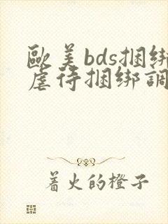 欧美bds捆绑虐待捆绑调教奴隶封面