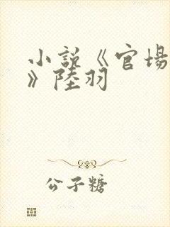 小说《官场奇才》陆羽