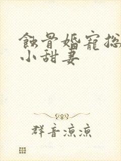 蚀骨婚宠总裁的小甜妻封面