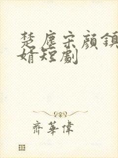 楚尘宋颜镇国神婿短剧