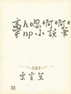 高h嗯啊啊啊快穿np小说笔趣阁