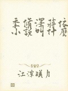 季修泽蒋依依的小说叫什么封面