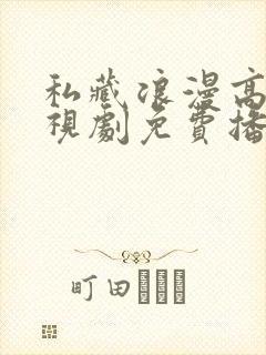 私藏浪漫高清电视剧免费播放