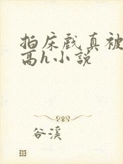拍床戏真被肉h高h小说封面