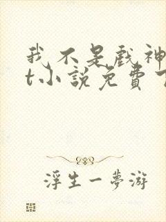 我不是戏神txt小说免费下载