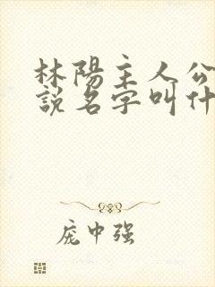 林阳主人公的小说名字叫什么