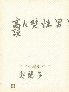 高h双性男男小说