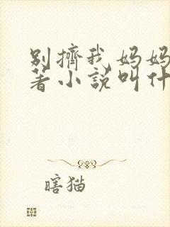 别挤我妈妈了原著小说叫什么名字