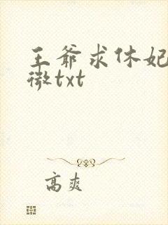 王爷求休妃沈知微txt