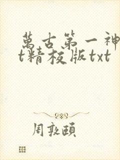 万古第一神txt精校版txt