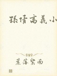 孙倩高义小说
