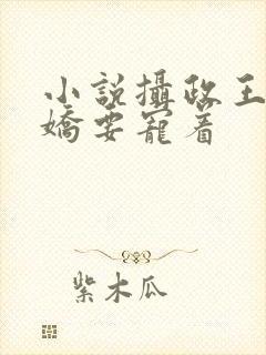 小说摄政王是病娇要宠着