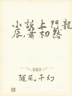 小说上门龙婿叶辰,萧初然封面