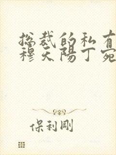 总裁的私有宝贝穆天阳丁宛情全本免费阅读