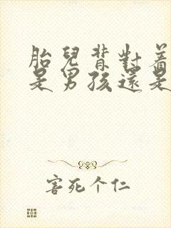 胎儿背对着妈妈是男孩还是女孩