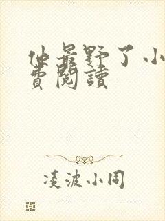 他最野了小说免费阅读