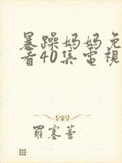 暴躁妈妈免费观看40集电视剧封面