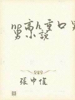 np高h重口男男小说封面