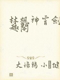 林枫神霄剑修笔趣阁封面
