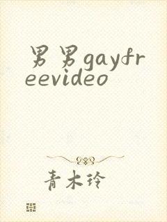 男男gayfreevideo封面