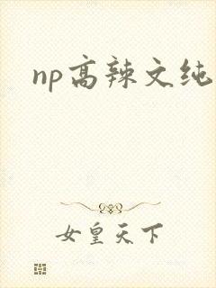 np高辣文纯肉