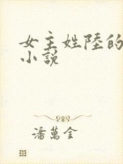 女主姓陆的穿越小说