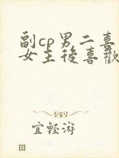 副cp男二喜欢女主后喜欢女二封面