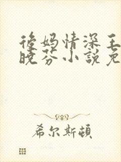 后妈情深王磊杨晓芬小说免费