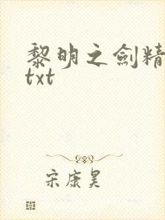 黎明之剑精校版txt