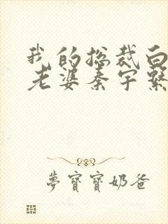 我的总裁白富美老婆秦宇系列小说