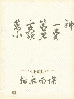 万古第一神有声小说免费
