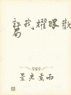 许我耀眼欢欢结局
