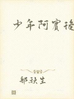 少年阿宾后续