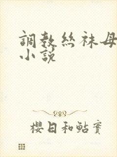 调教丝袜母女花小说封面