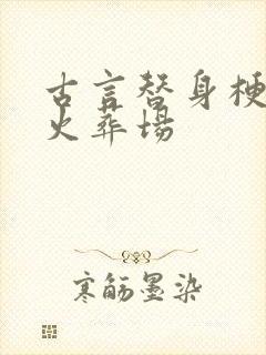 古言替身梗追妻火葬场封面