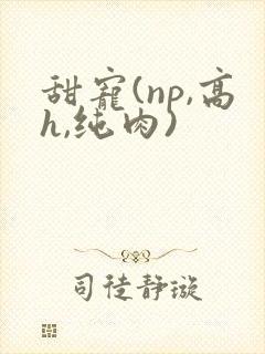 甜宠(np,高h,纯肉)