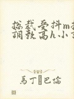 总裁受抖m挨打调教高h小说封面